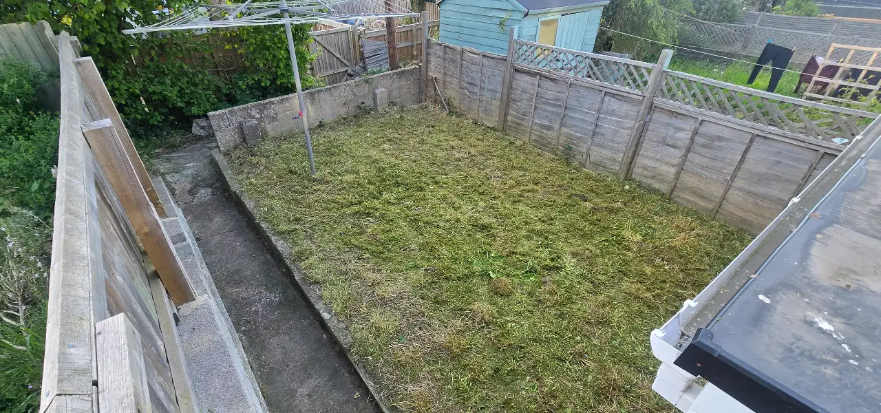 Cleared garden