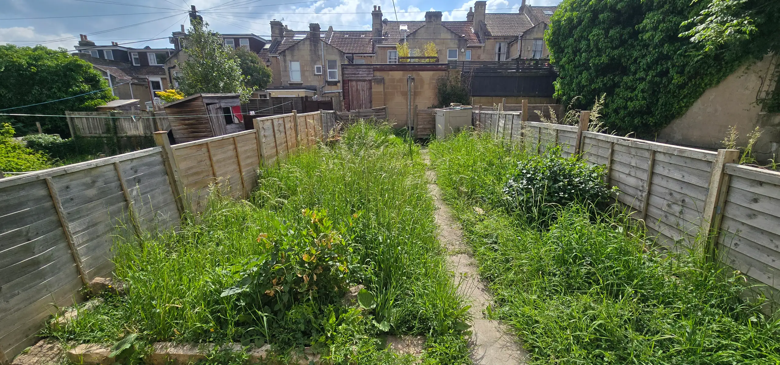 Garden before clearance